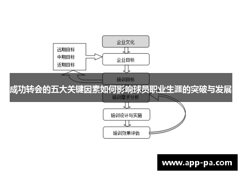 成功转会的五大关键因素如何影响球员职业生涯的突破与发展