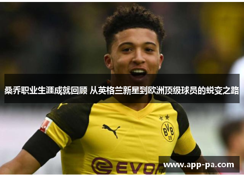 桑乔职业生涯成就回顾 从英格兰新星到欧洲顶级球员的蜕变之路