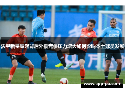 法甲新星崛起背后外援竞争压力增大如何影响本土球员发展