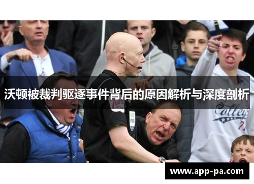 沃顿被裁判驱逐事件背后的原因解析与深度剖析