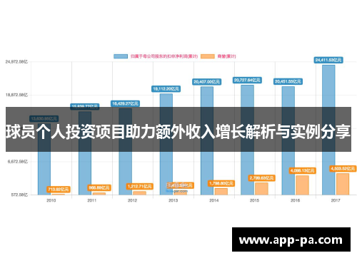 球员个人投资项目助力额外收入增长解析与实例分享