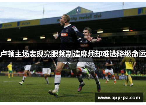 卢顿主场表现亮眼频制造麻烦却难逃降级命运